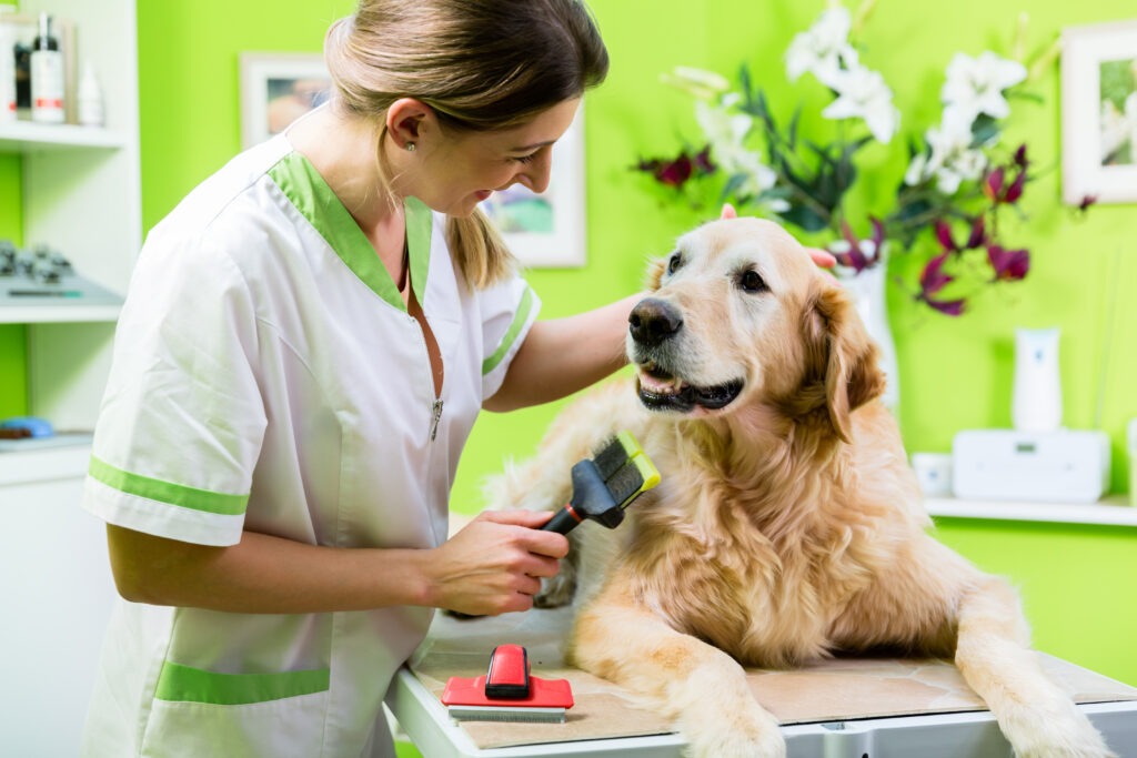 Checking for Fleas