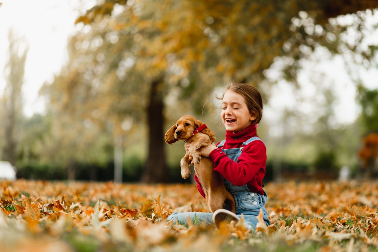 child playing with cocker spaniel in autumn leaves