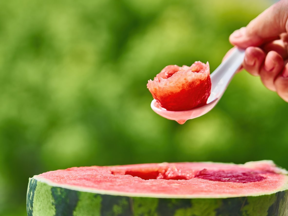 watermelon dog ice cream
